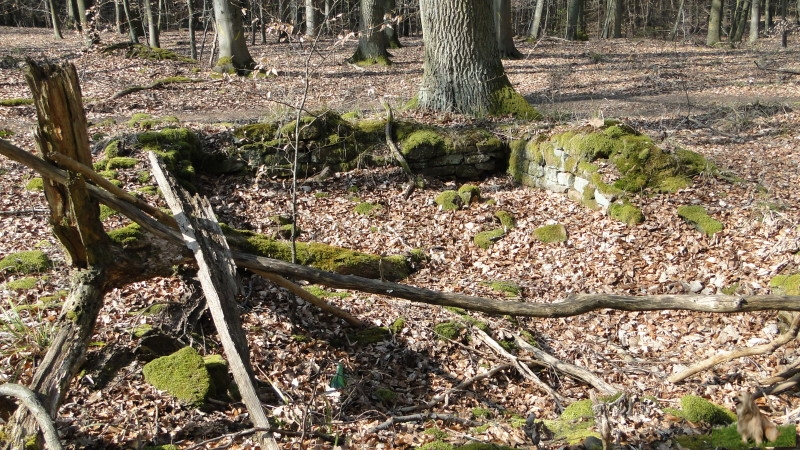 Ritterstein Nr. 274-9 Stüterhof Leiningisches Gestüt Hof-Ruinen 15. - 18. Jhdt..JPG - Ritterstein Nr.274 Stüterhof Leiningisches Gestüt Hof-Ruinen 15. - 18. Jhdt.